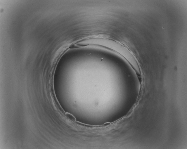 X0000074330001200609082044