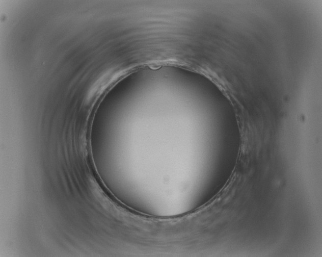 X0000074330002200609082044