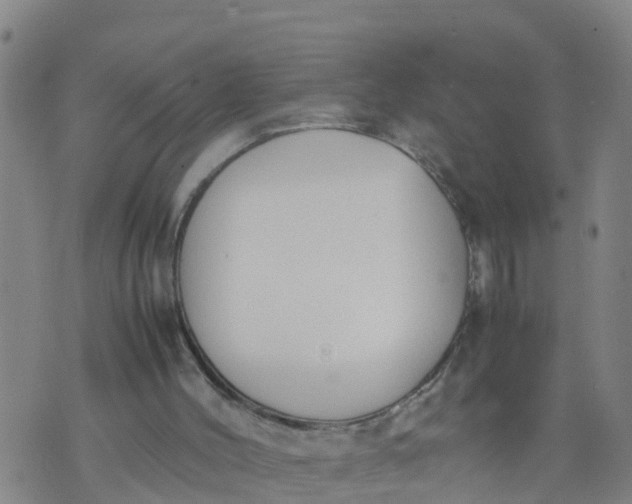 X0000074330004200609082044