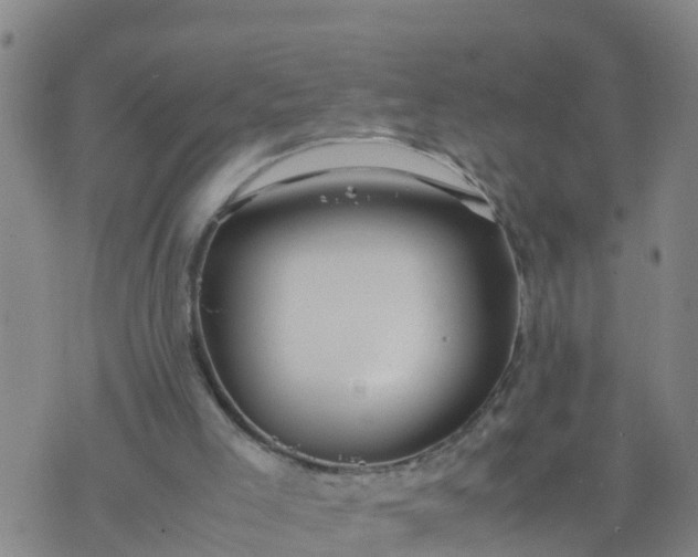 X0000074330005200609082044