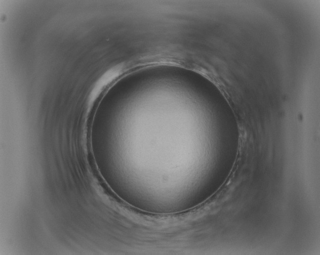 X0000074330006200609082044