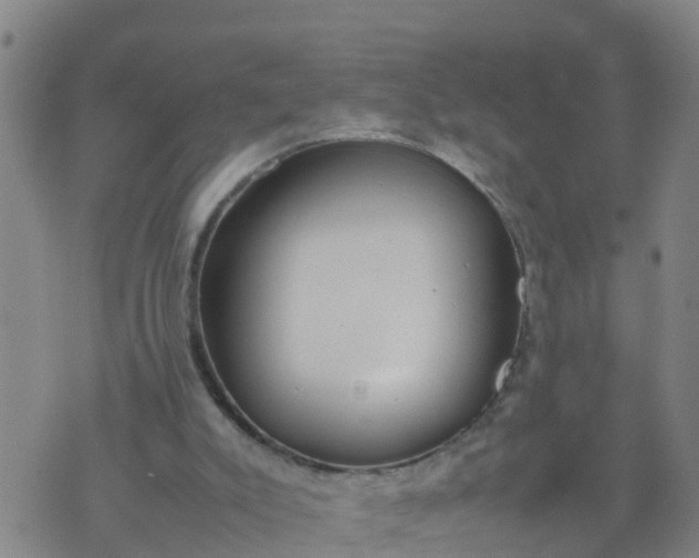 X0000074330007200609082044