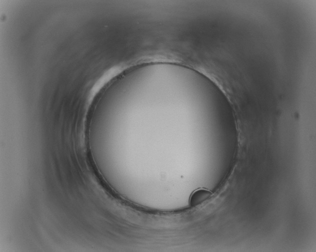 X0000074330008200609082044