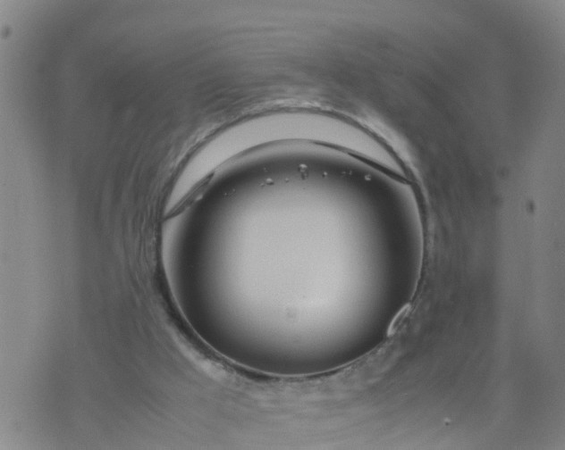 X0000074330009200609082044