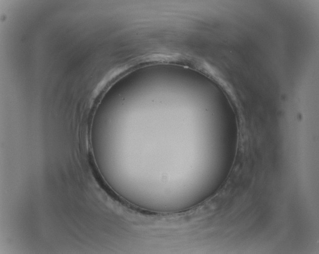 X0000074330011200609082043