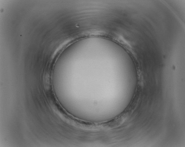 X0000074330012200609082043