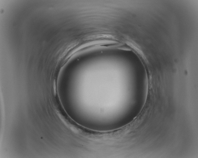 X0000074330013200609082043