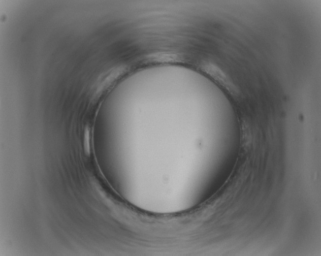 X0000074330014200609082043