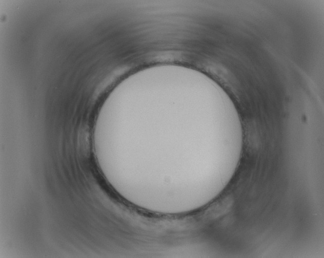 X0000074330016200609082043