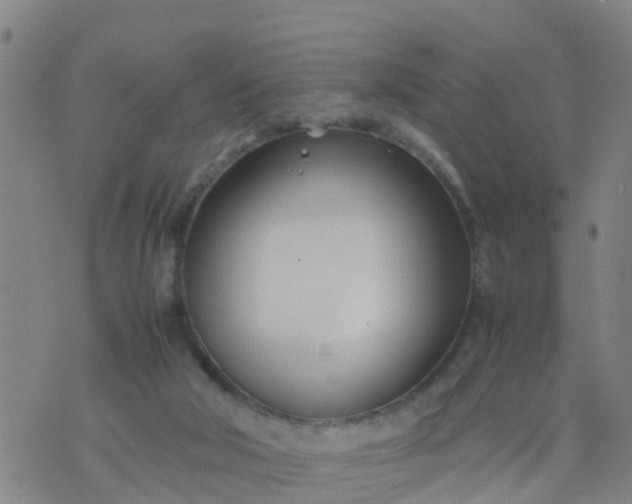 X0000074330018200609082043