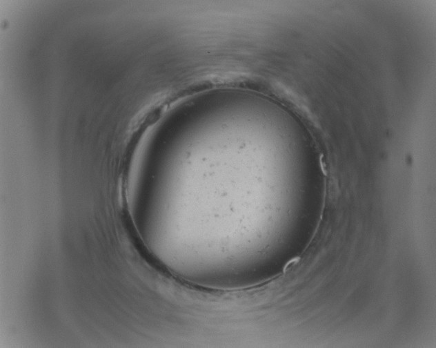 X0000074330019200609082043