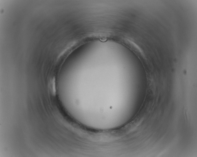 X0000074330020200609082043