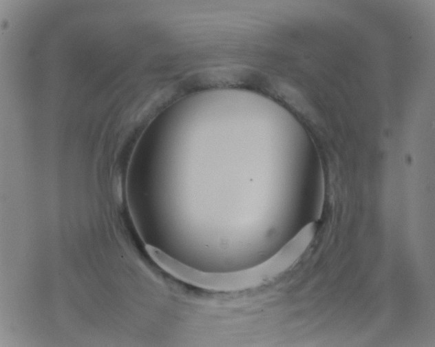 X0000074330021200609082043