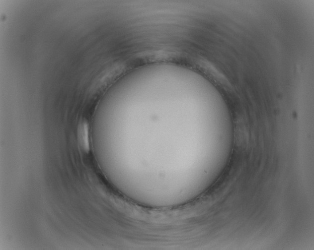 X0000074330022200609082043