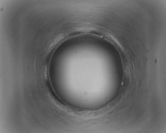 X0000074330023200609082043