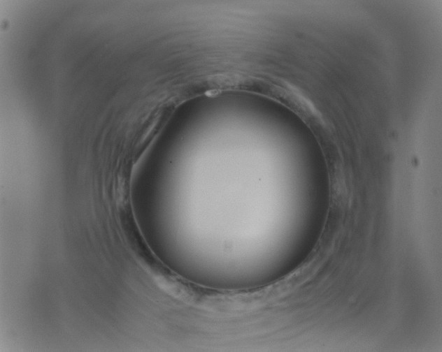 X0000074330025200609082043