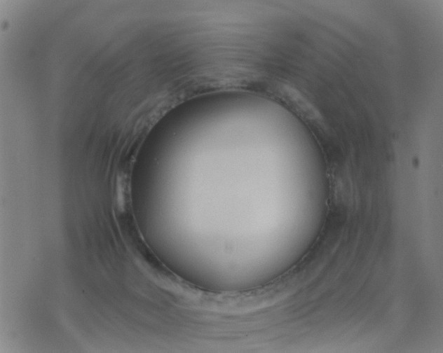 X0000074330026200609082043