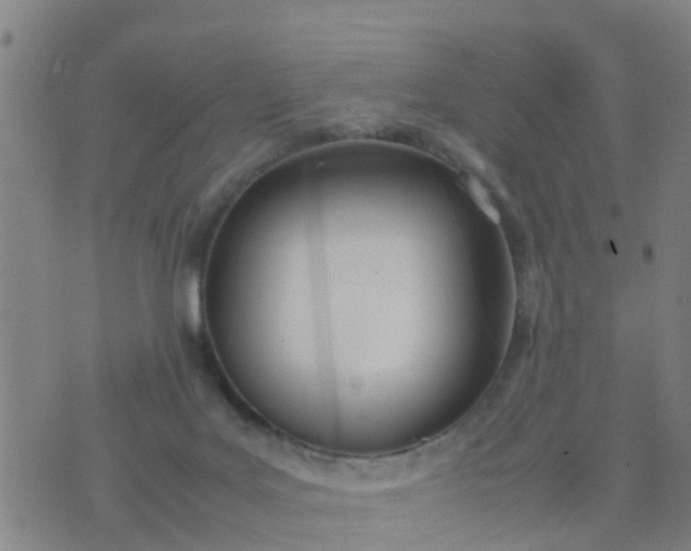 X0000074330027200609082043