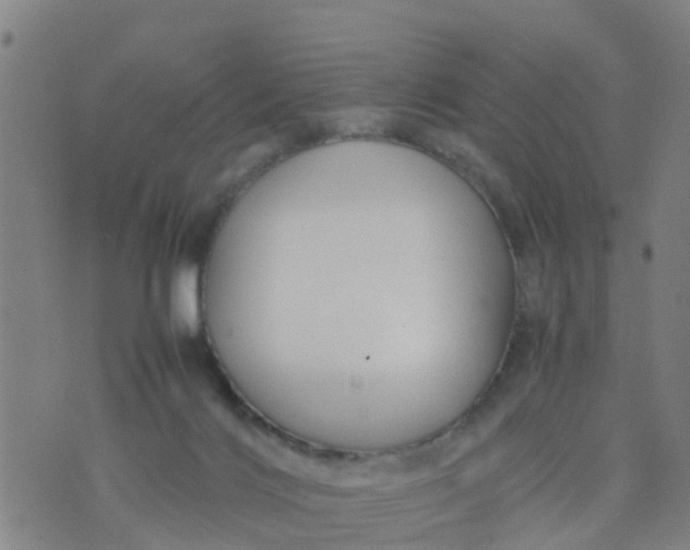 X0000074330028200609082043