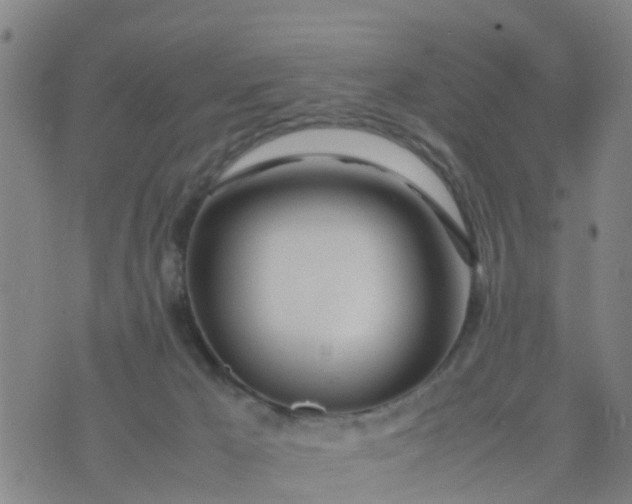 X0000074330029200609082043