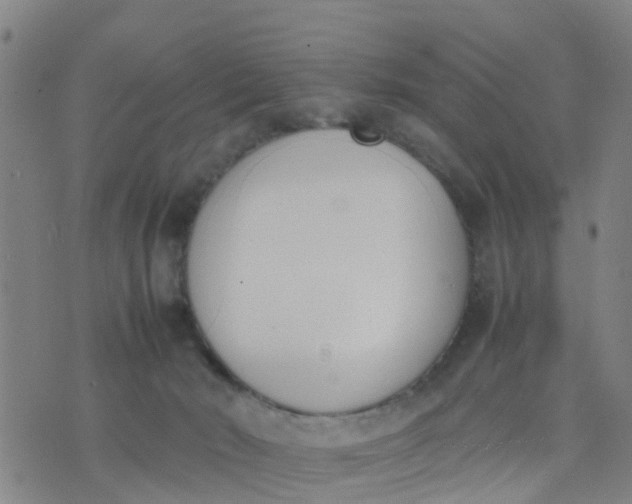 X0000074330030200609082043