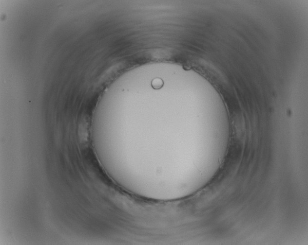 X0000074330032200609082043