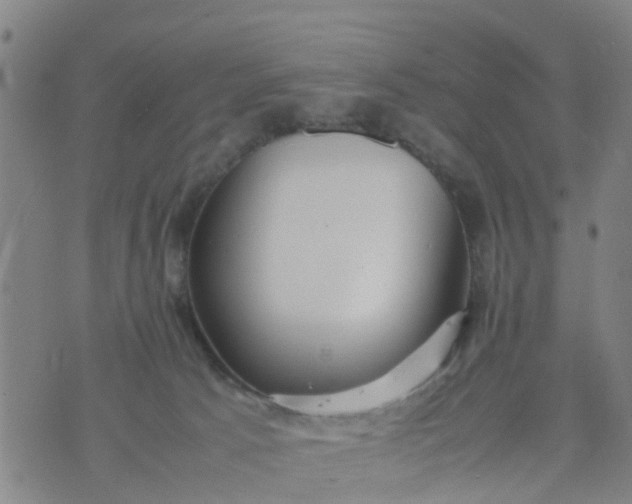 X0000074330033200609082043