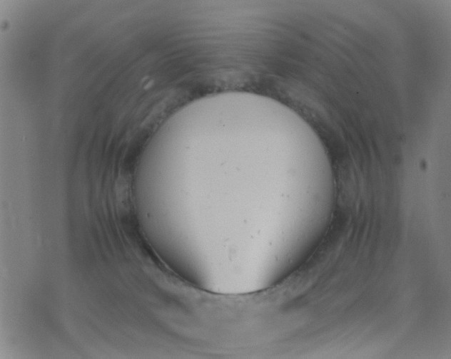 X0000074330034200609082043