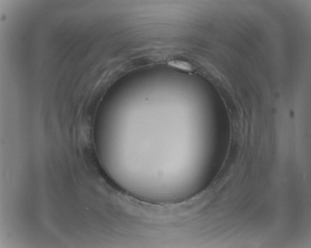 X0000074330035200609082043