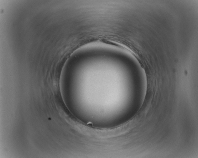 X0000074330039200609082043