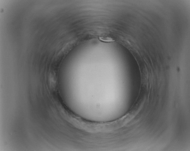 X0000074330040200609082043