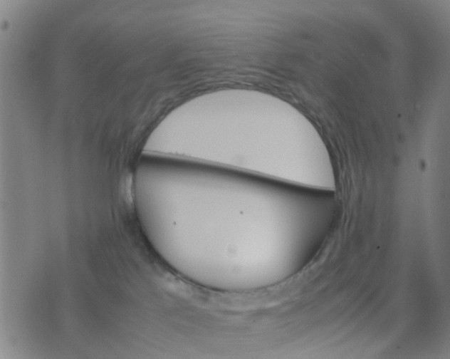 X0000074330041200609082043