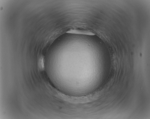 X0000074330042200609082043