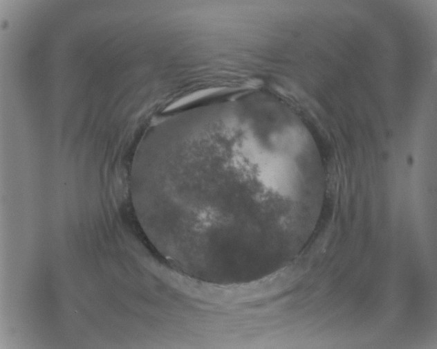 X0000074330043200609082043