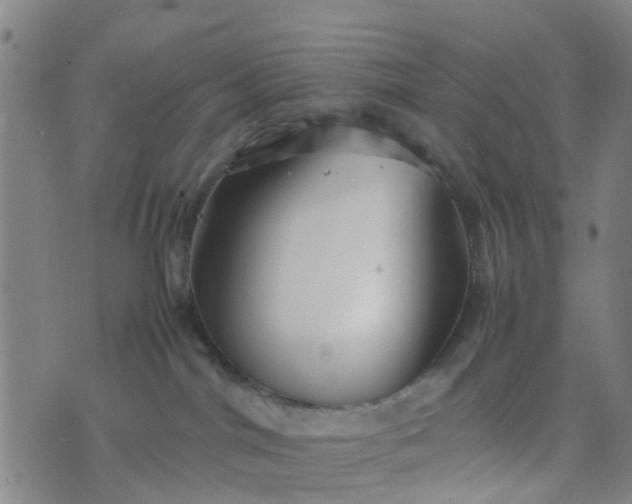 X0000074330044200609082043