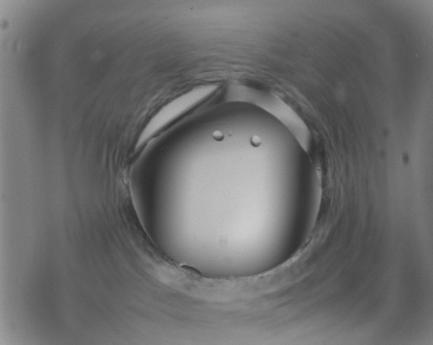 X0000074330045200609082043