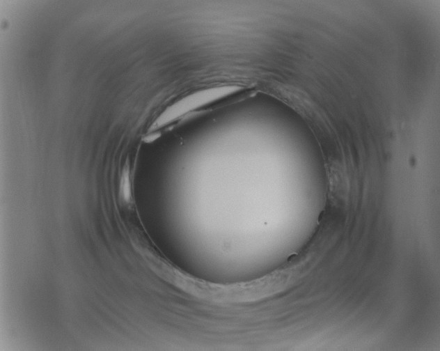 X0000074330046200609082043