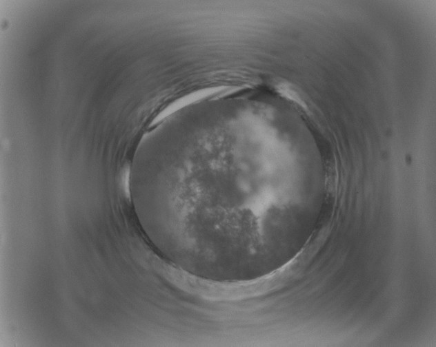 X0000074330047200609082043