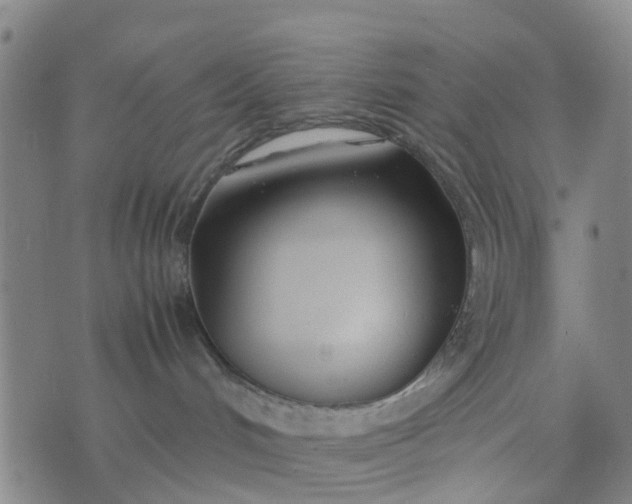 X0000074330048200609082043