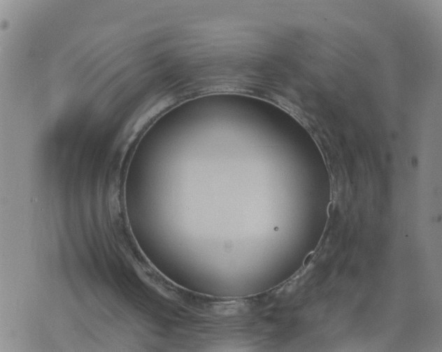 X0000074330050200609082042