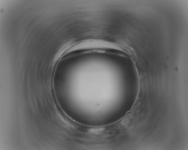 X0000074330051200609082042