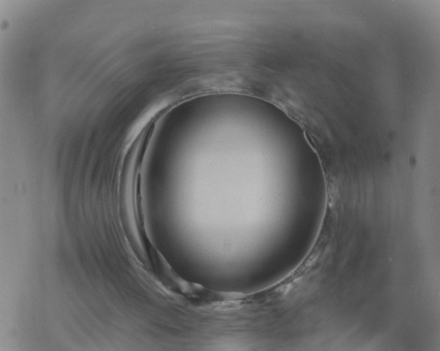 X0000074330052200609082042