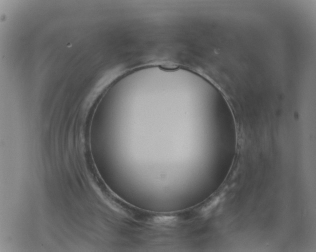 X0000074330055200609082042