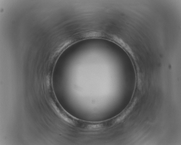 X0000074330057200609082042