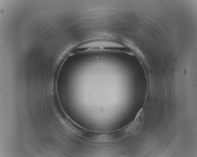 X0000074330058200609082042