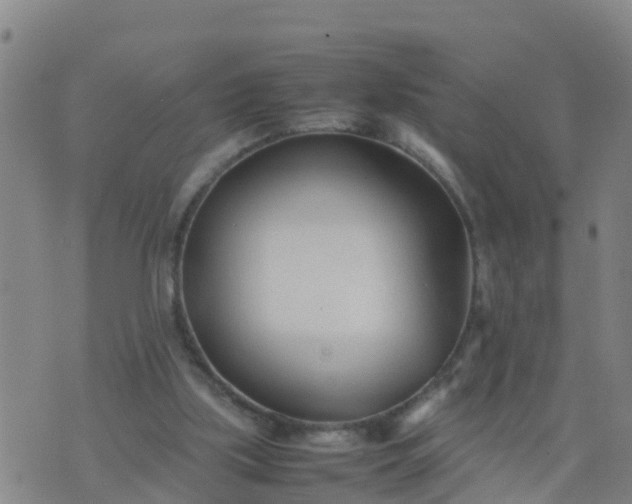 X0000074330059200609082042