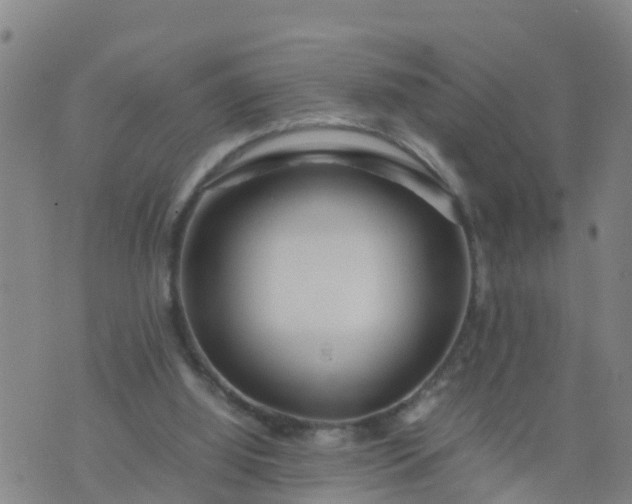 X0000074330060200609082042