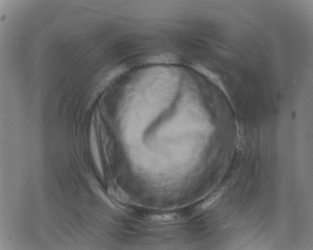 X0000074330061200609082042