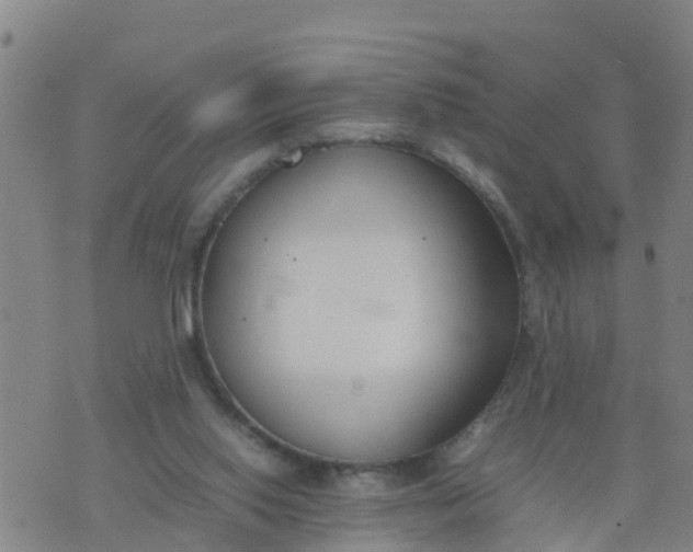 X0000074330062200609082042