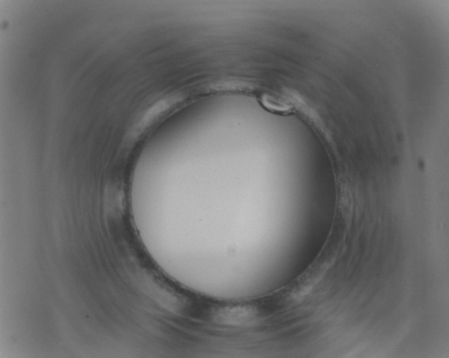 X0000074330063200609082042